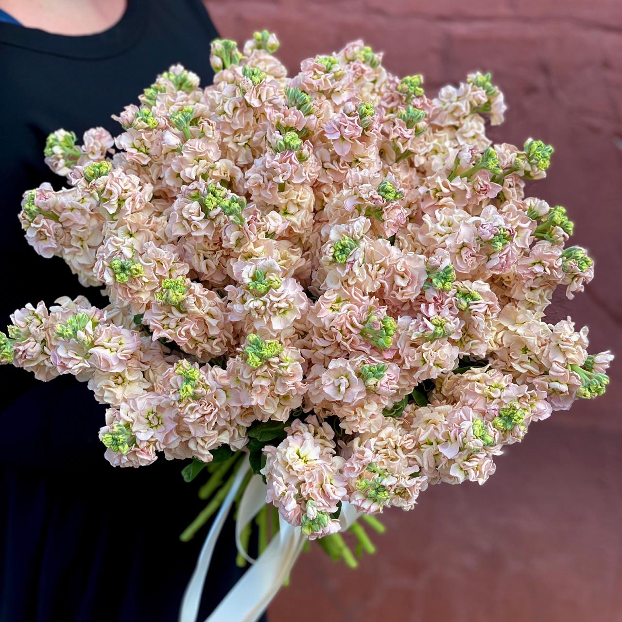 Маттиола Букет из 45 персиковых маттиол