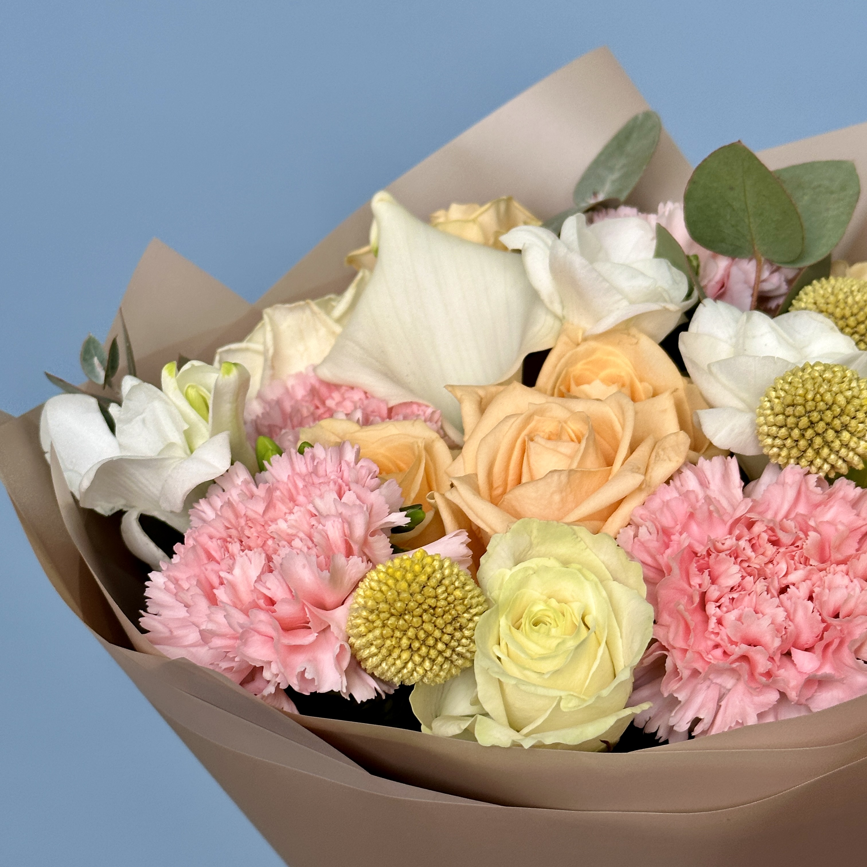 Гвоздики Букет Солнечное утро