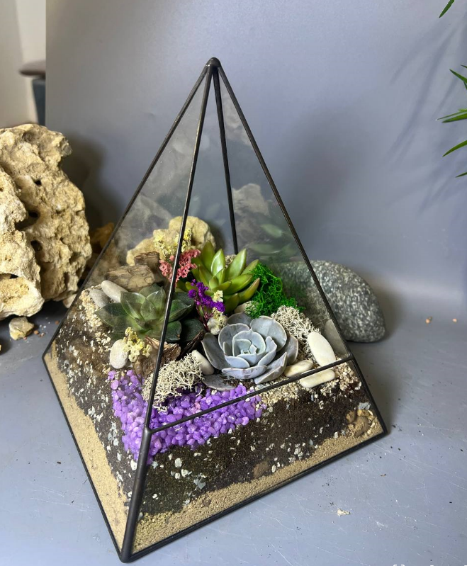 Для crm Флорариум с суккулентами "Пирамида Клеопатра"