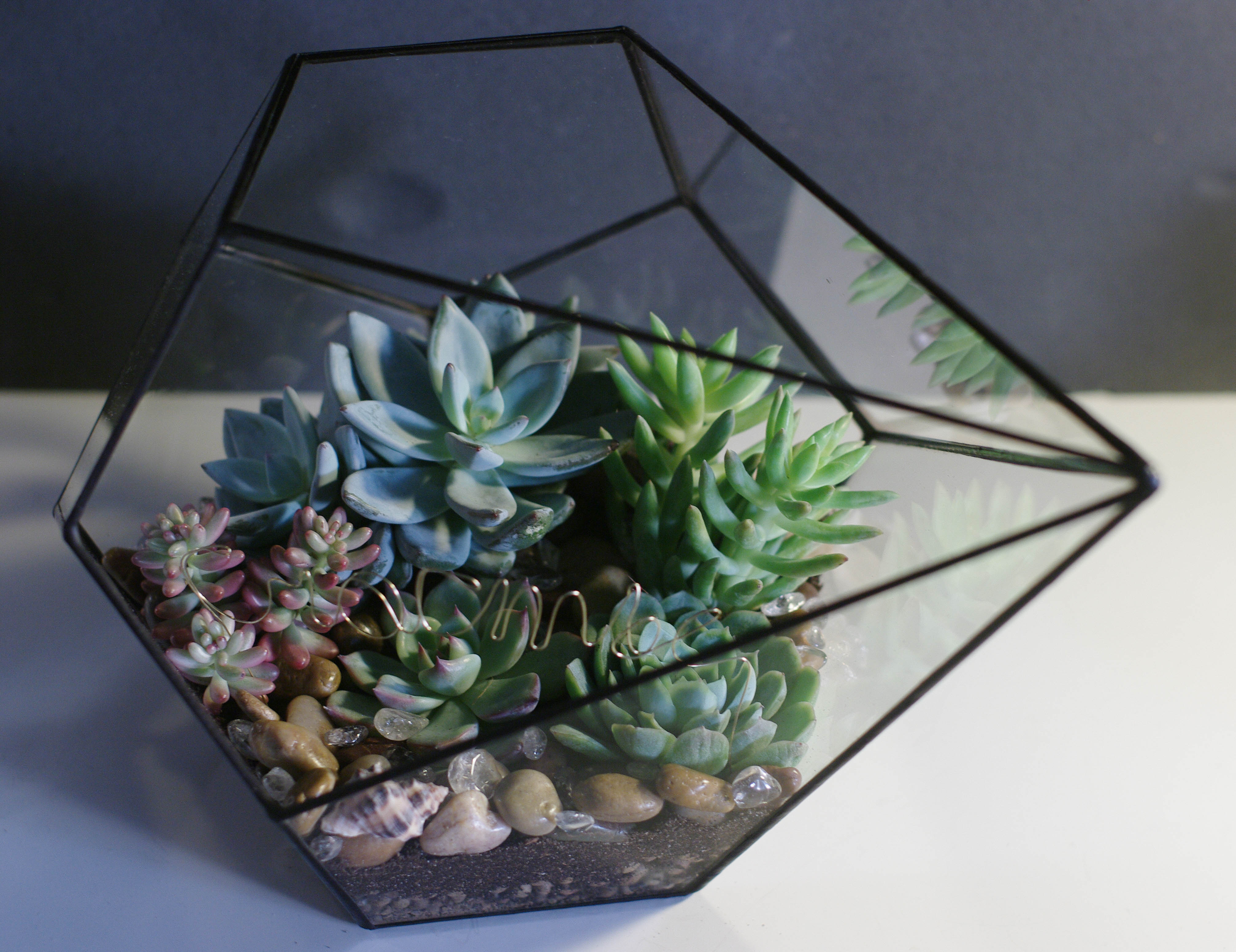 Флорариумы Флорариум Капля