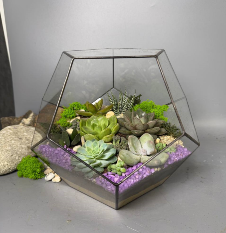 Для crm Флорариум "Шальная императрица с суккулентами"