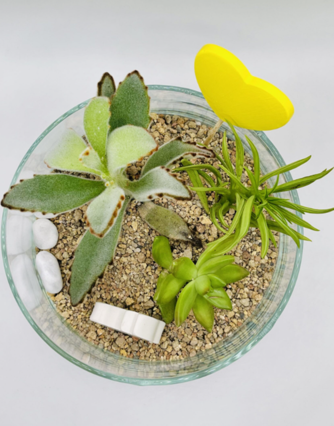 Для crm Флорариум "Весна на Камчатке"