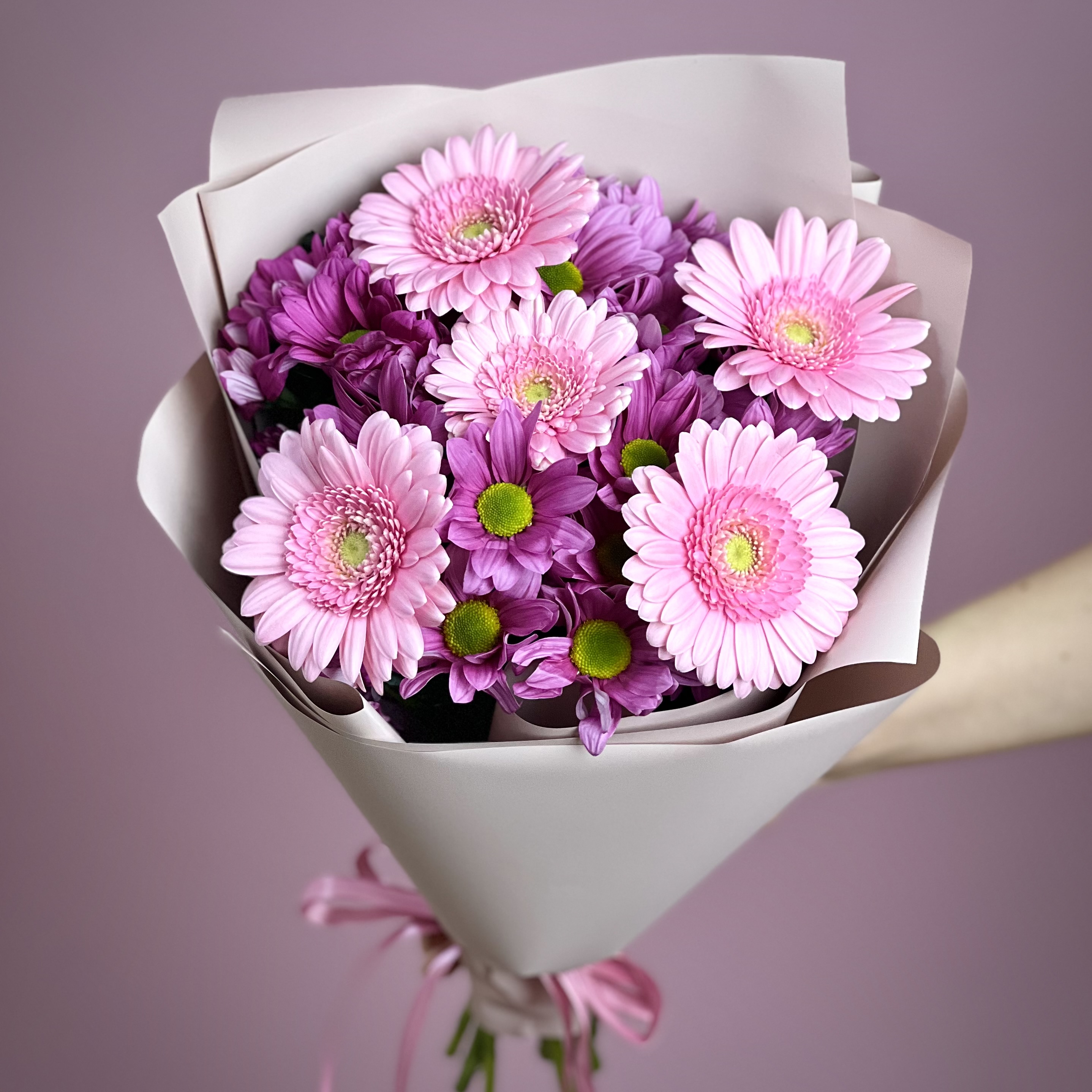 Герберы Букет Бага