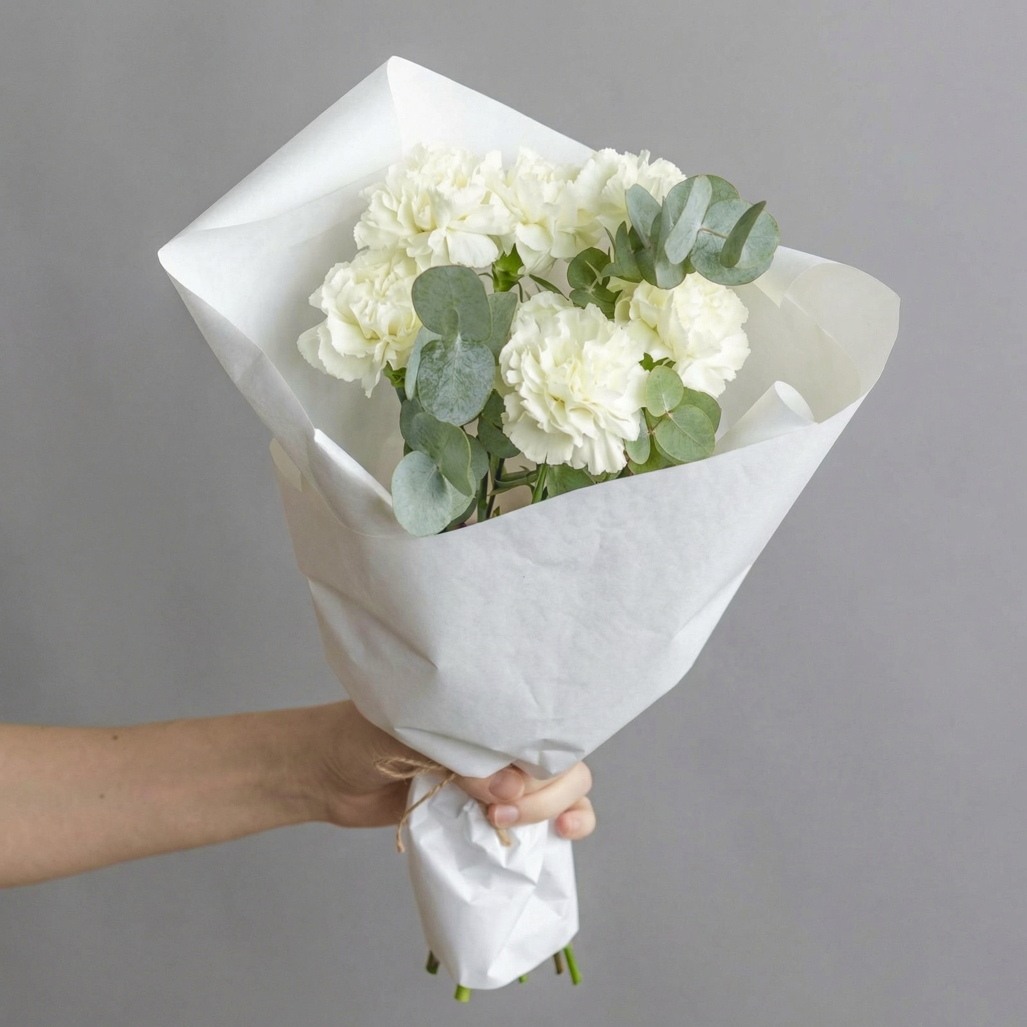 Гвоздики Букет Облако нежности