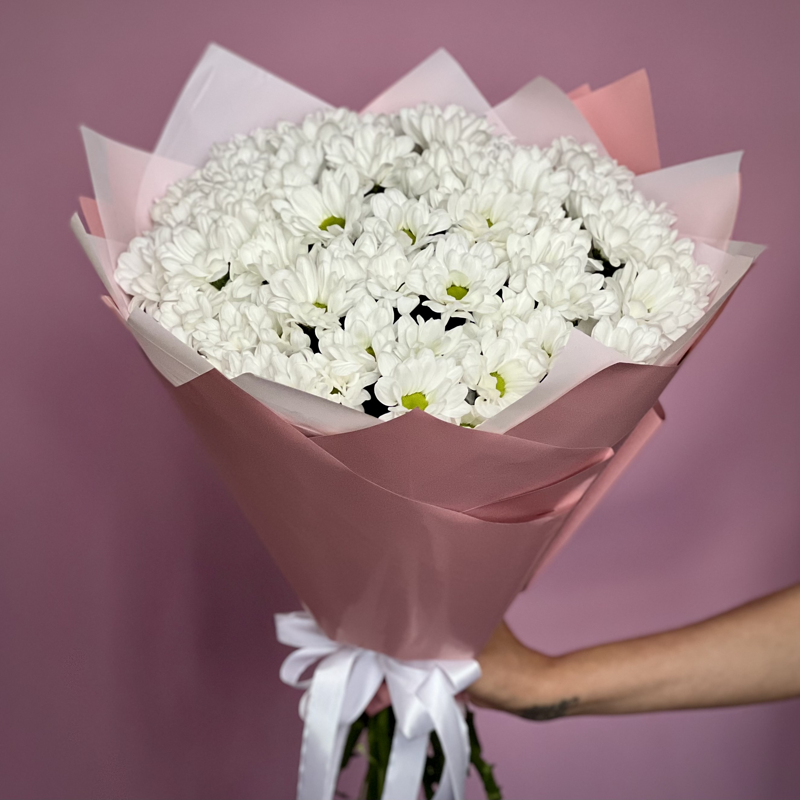Хризантемы Букет из 15 кустовых хризантем