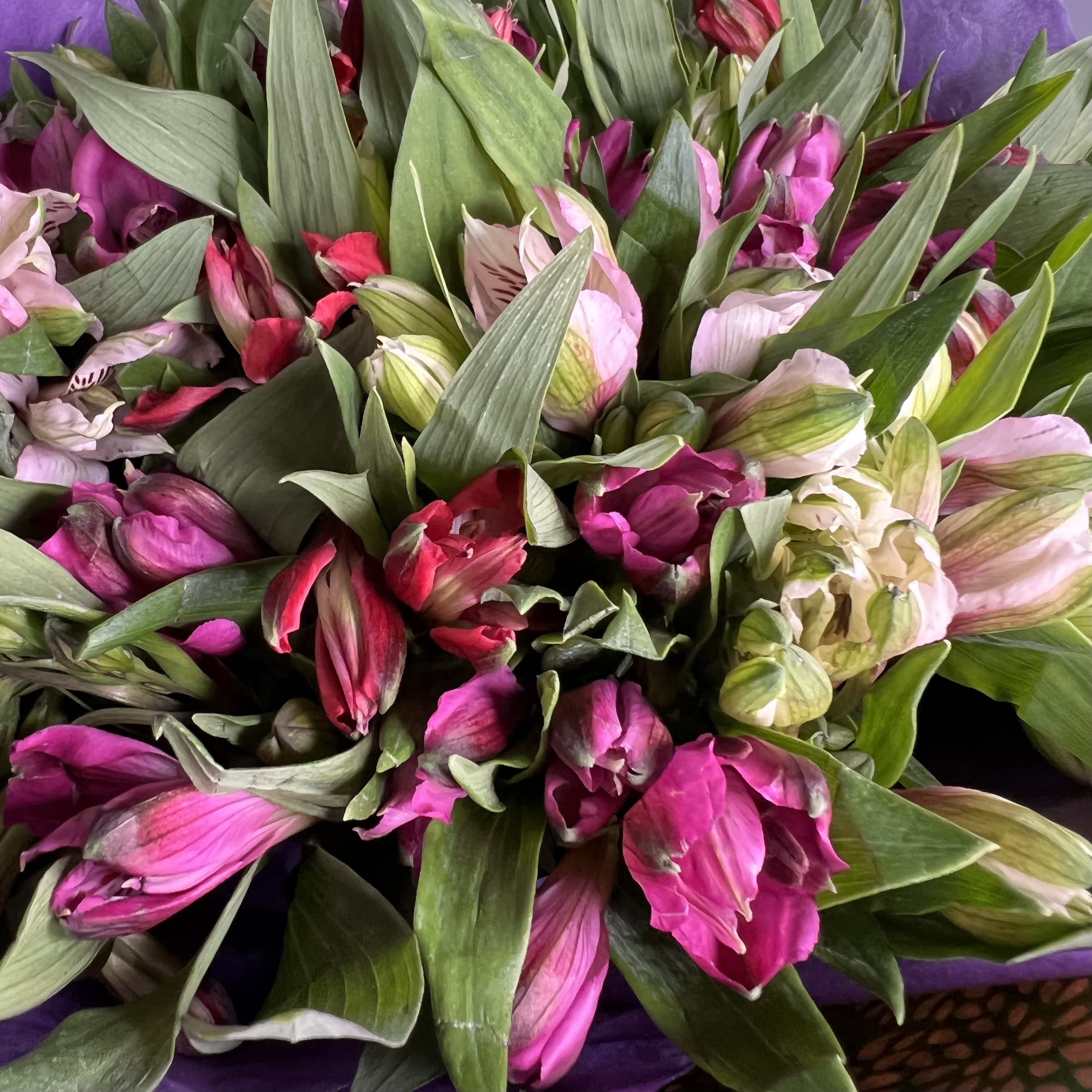 Альстромерии Букет Альстромерия 