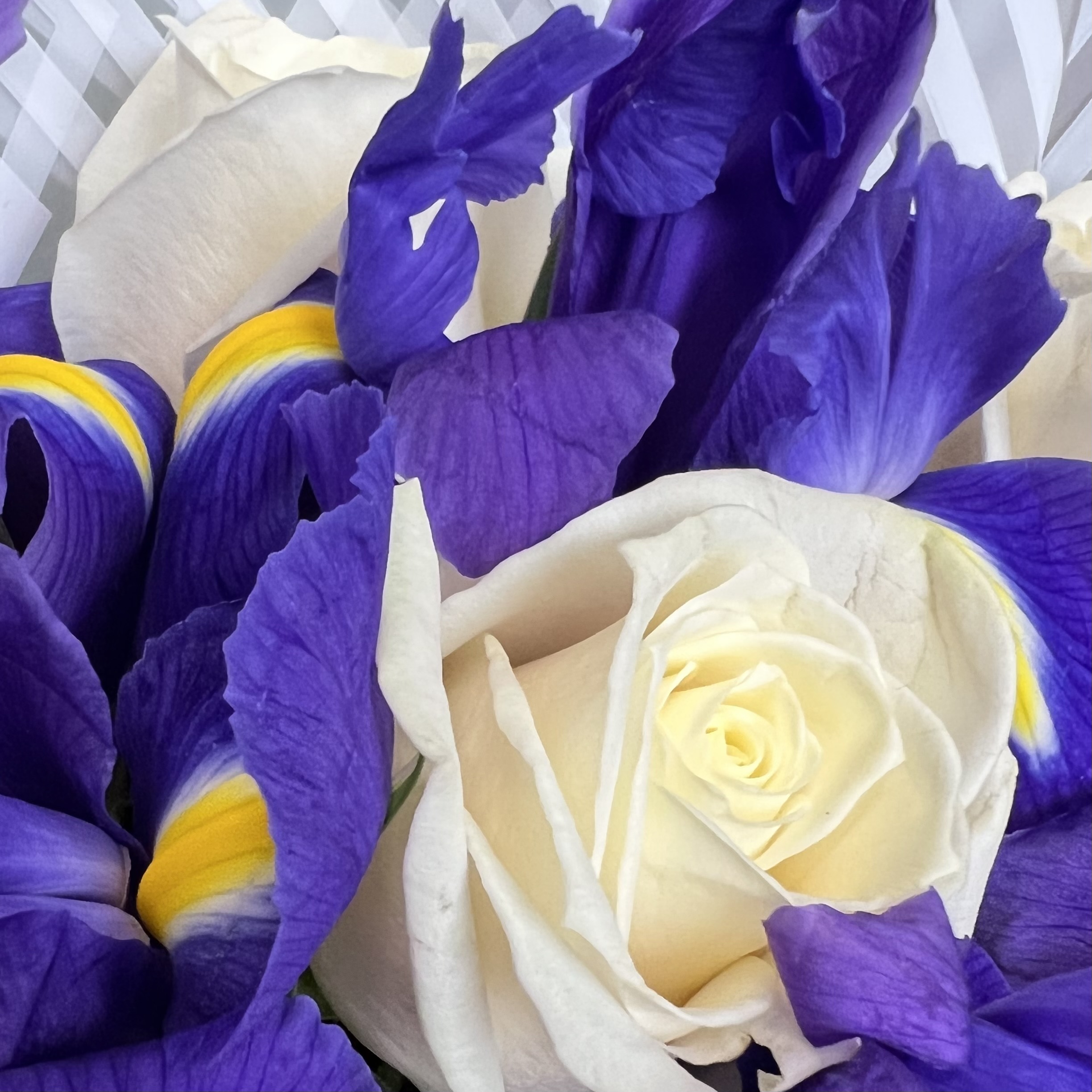 Ирисы Букет Хороший день