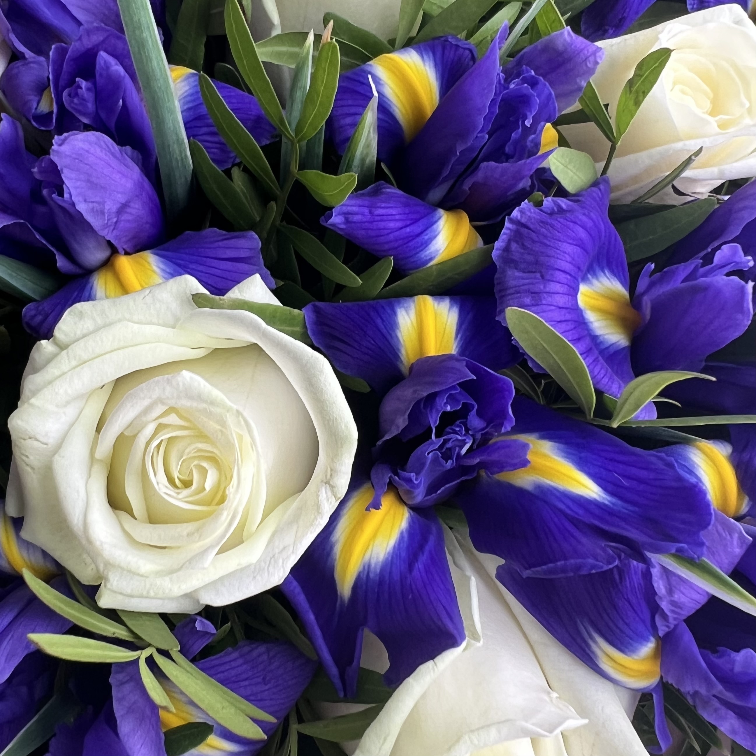 Ирисы Букет Эмма