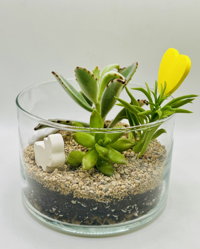 Для crm Флорариум "Весна на Камчатке"