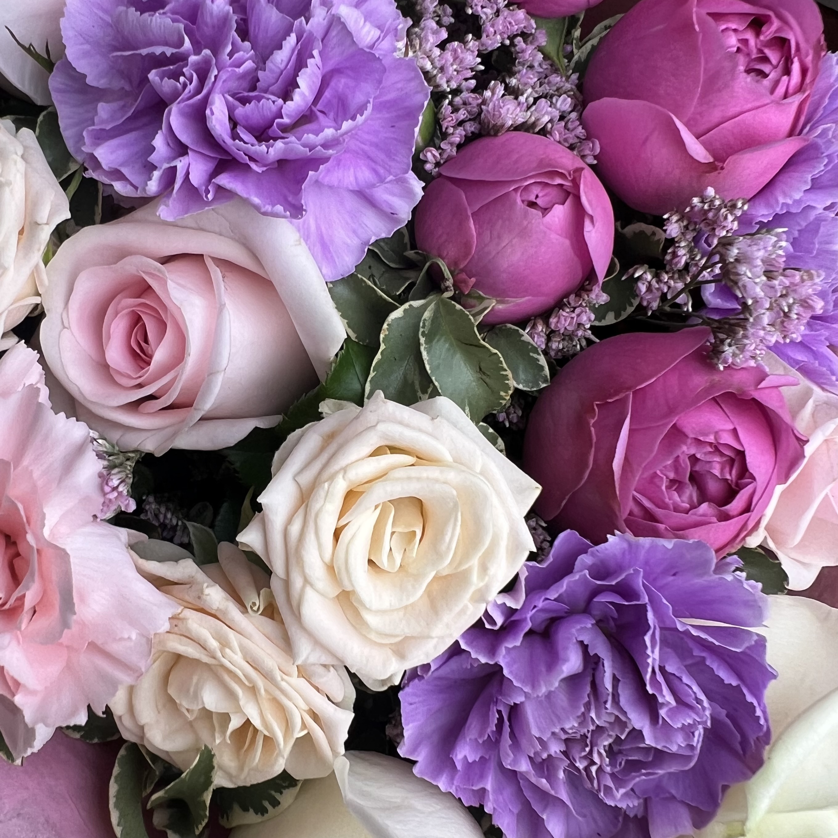 Гвоздики Букет Глянец