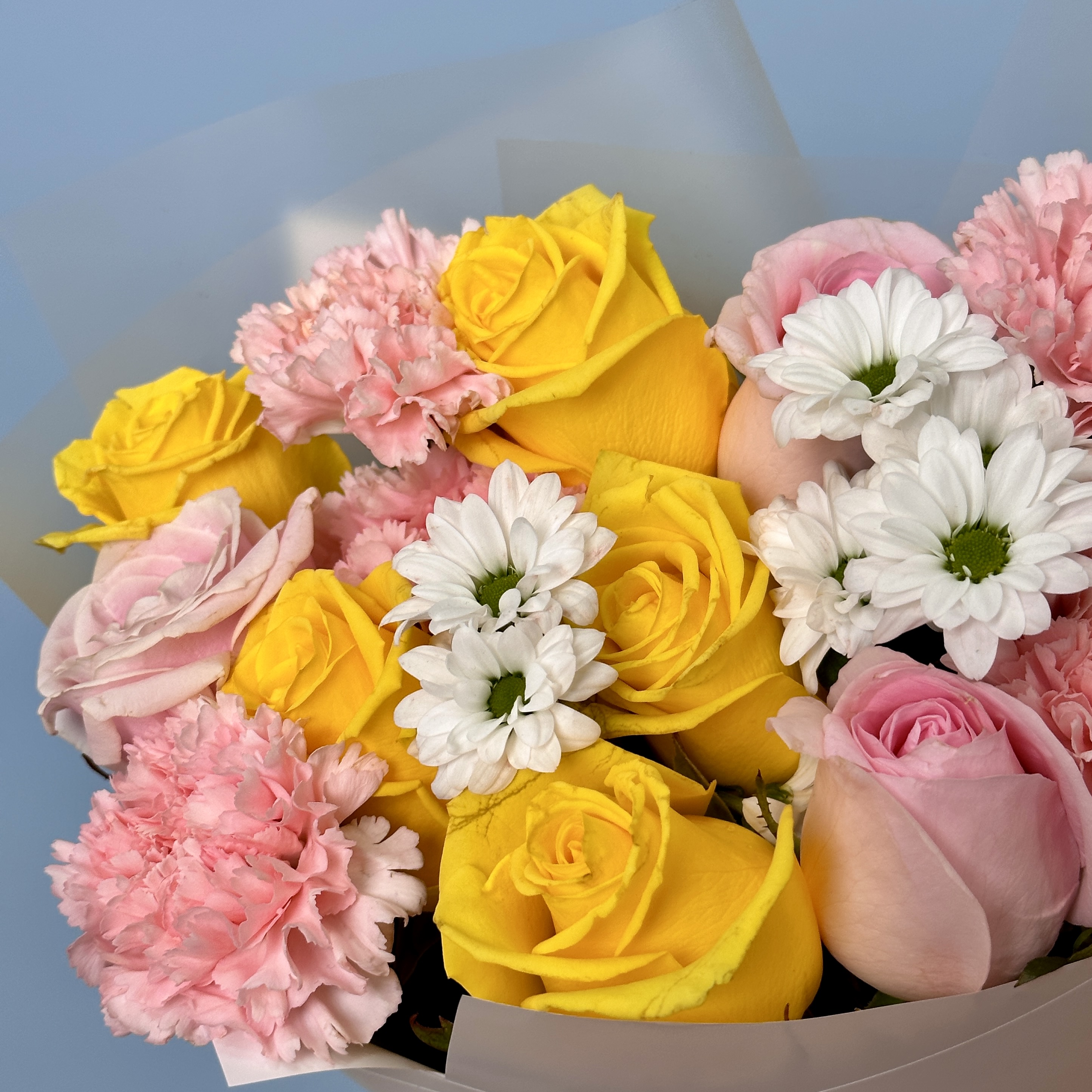 Гвоздики Букет Лэйси