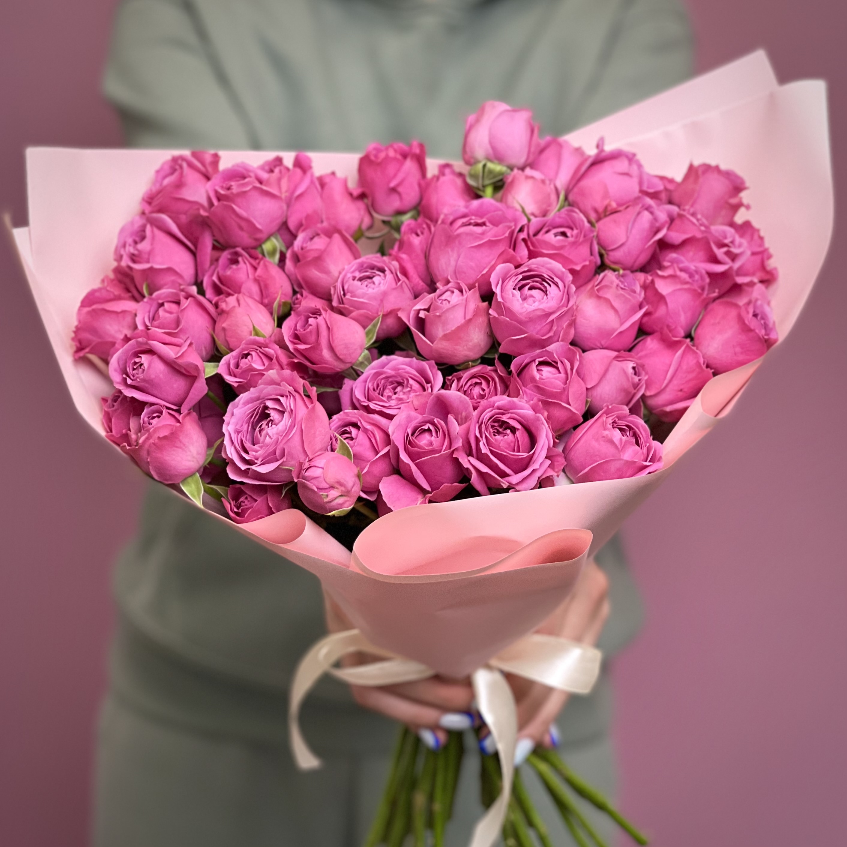 Букет из 25 малиновых кустовых пионовидных роз букет из 29 кустовых малиновых роз