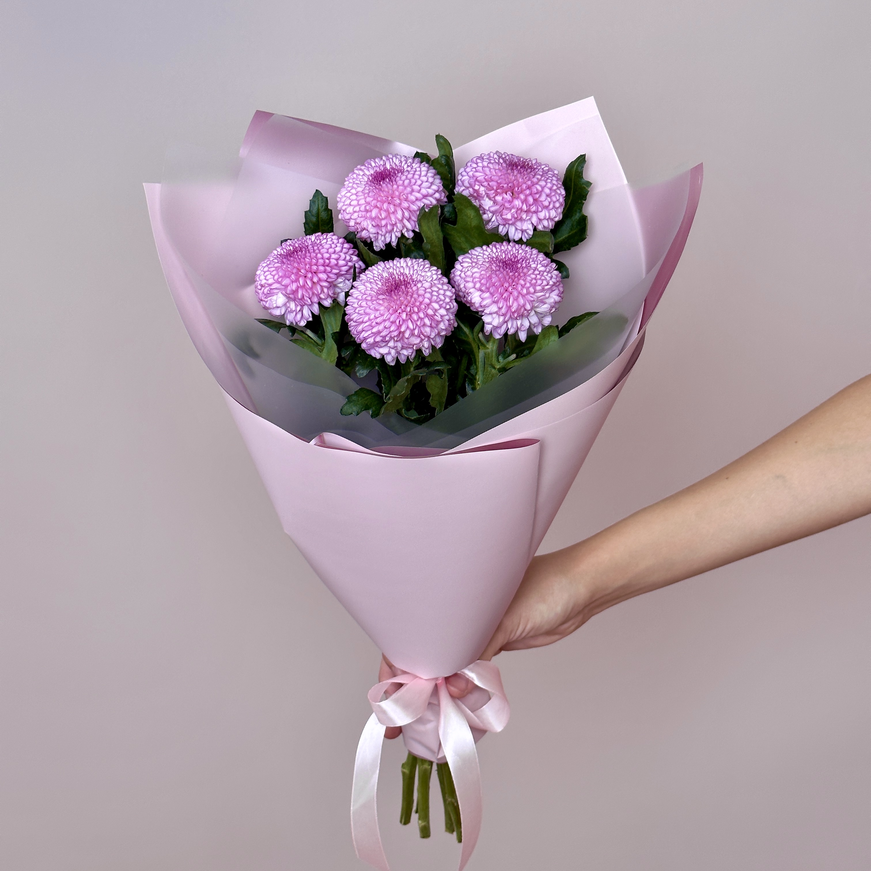 Хризантемы Букет из 5 хризантем Момоко