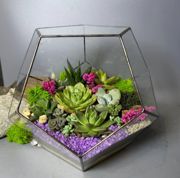 Для crm Флорариум "Шальная императрица с суккулентами"