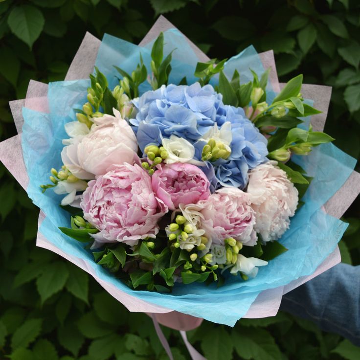 Гортензии Букет Мирослава