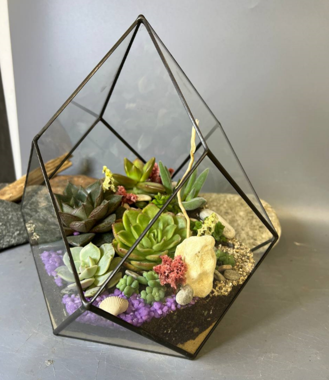 Для crm Флорариум с суккулентами "Забава"