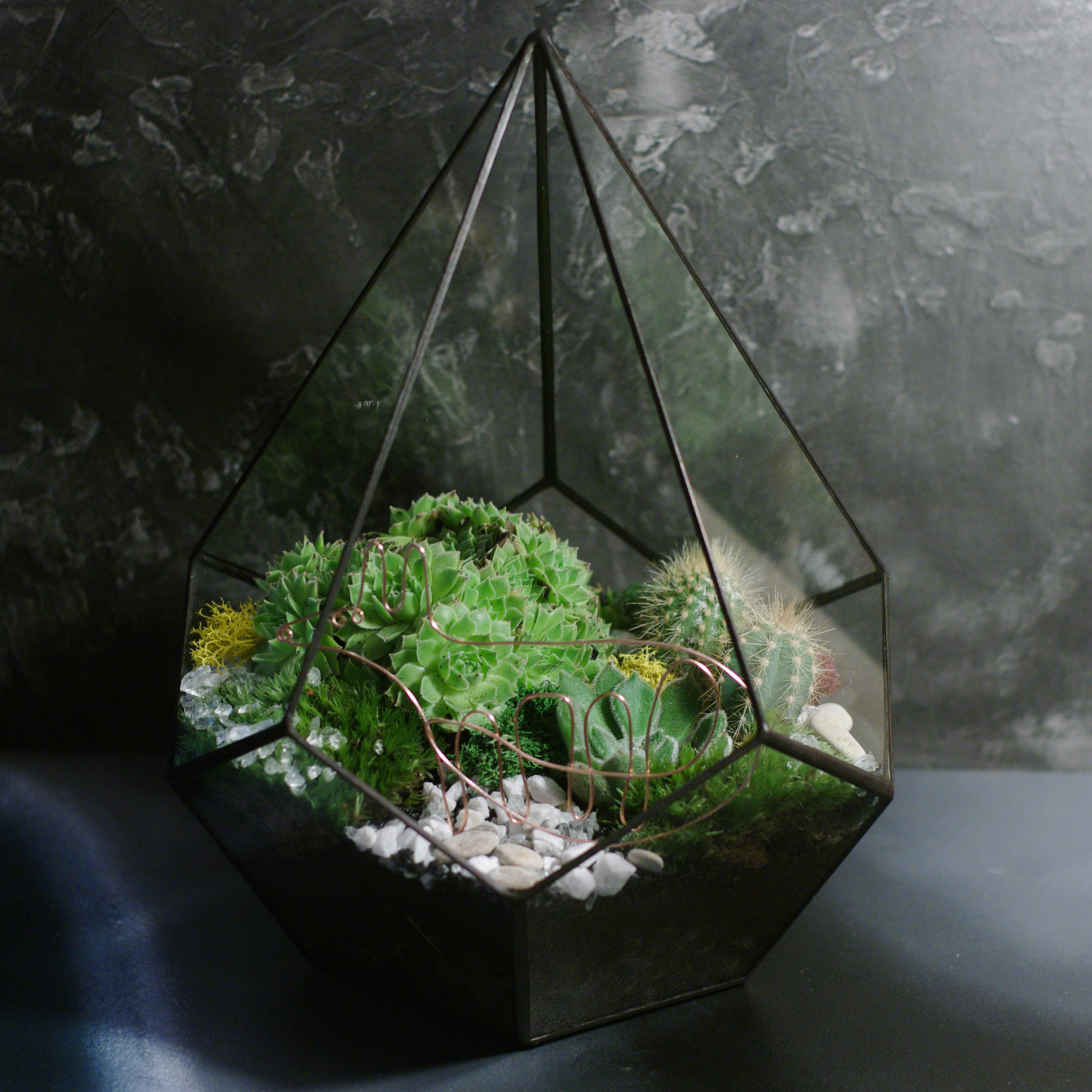 Флорариумы Флорариум Капля