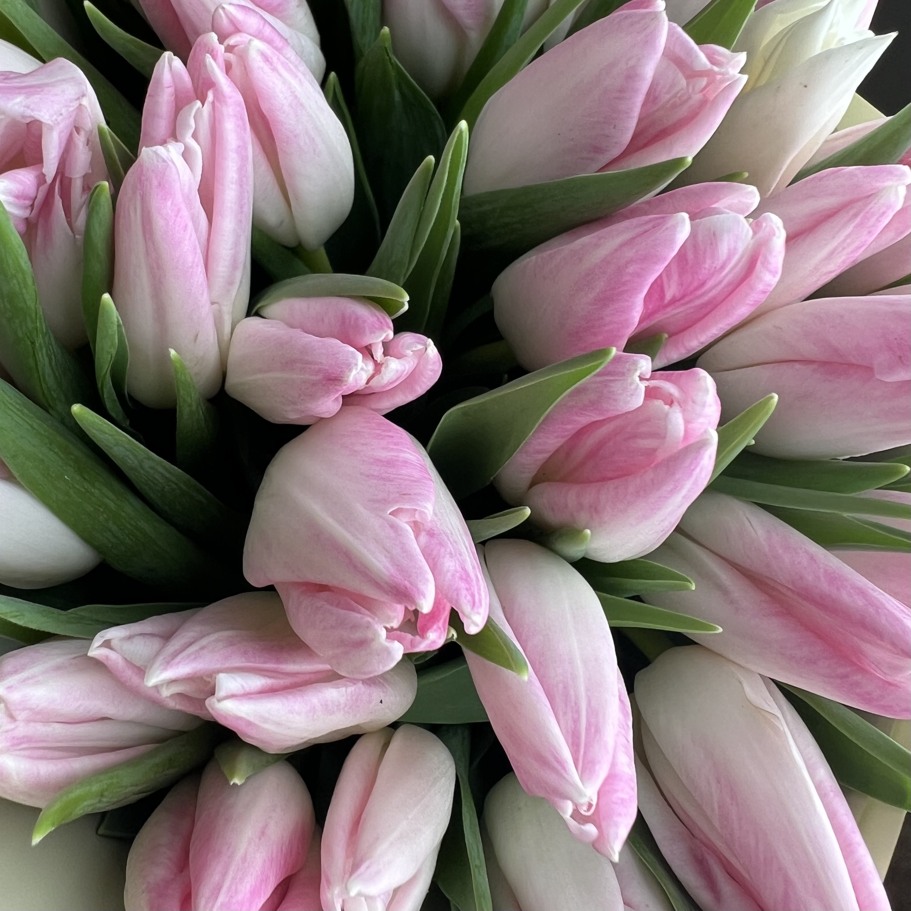 Тюльпаны Букет из 35 розовых тюльпанов