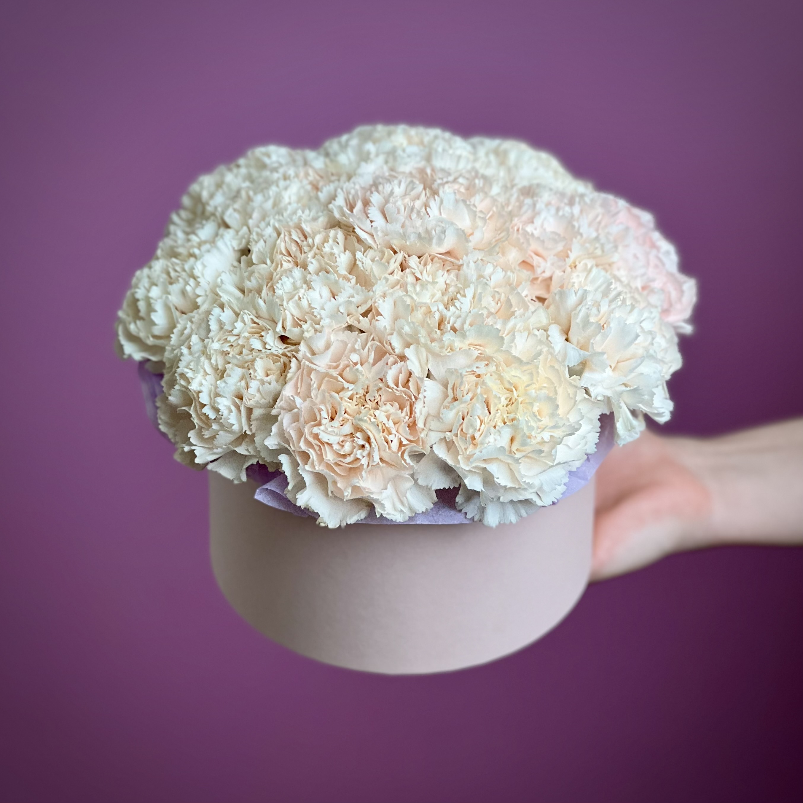 Цветы в коробке Кремовые гвоздики в коробке S