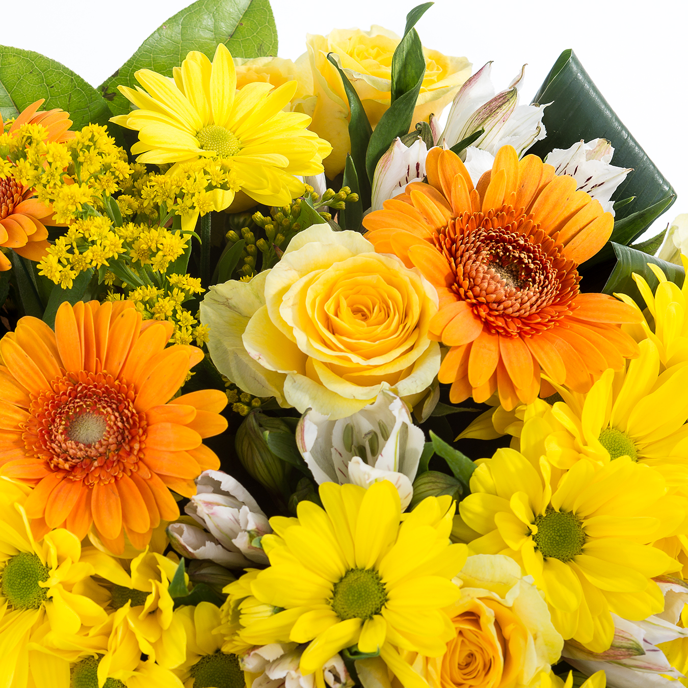 Хризантемы Букет Пчёлка