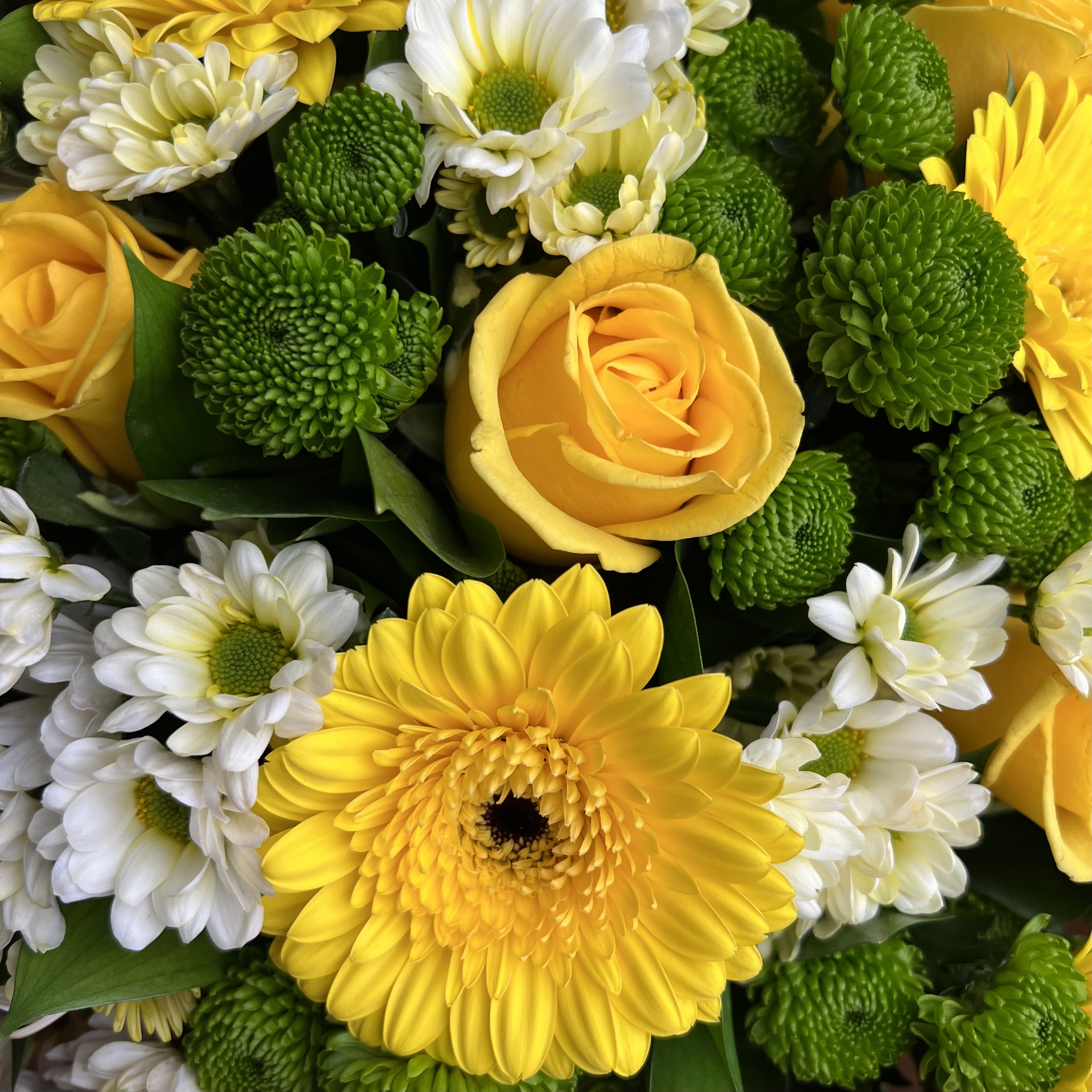 Хризантемы Букет Солнечный День