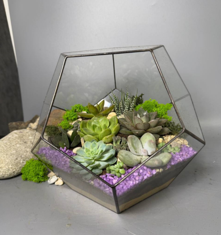 Для crm Флорариум "Шальная императрица с суккулентами"