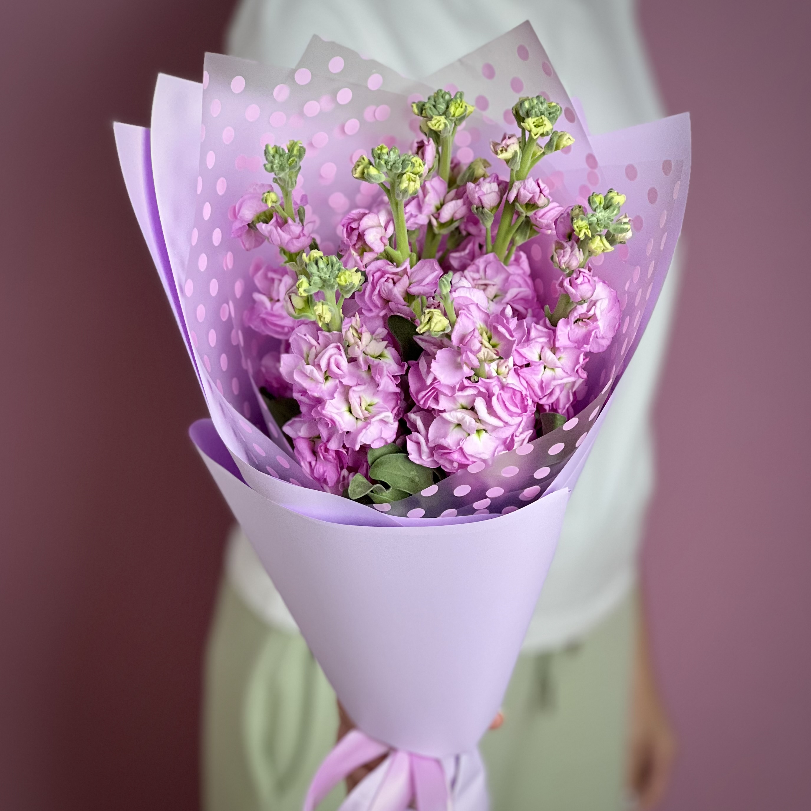 Букет из 7 розовых маттиол