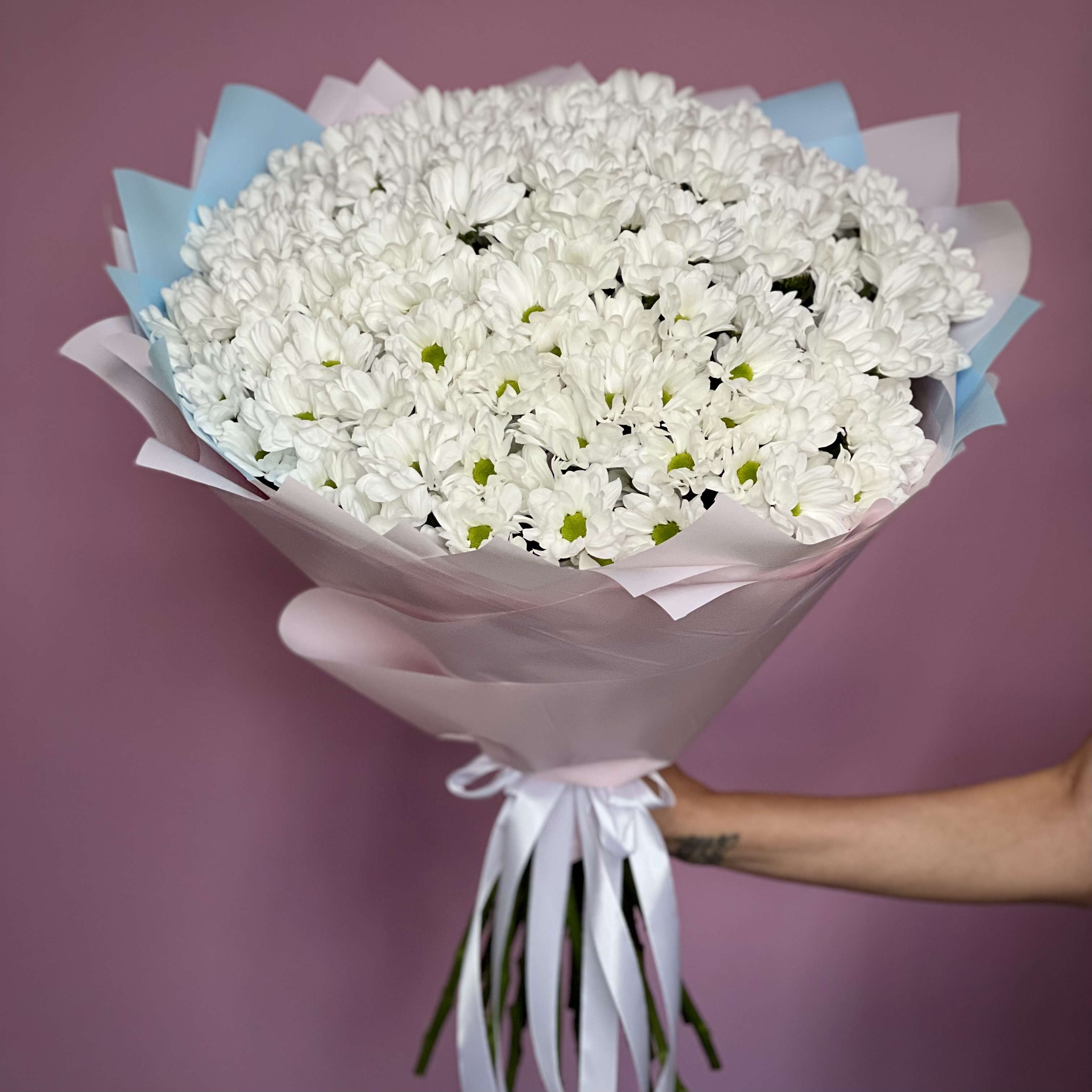 Хризантемы Букет из 21 кустовой хризантемы