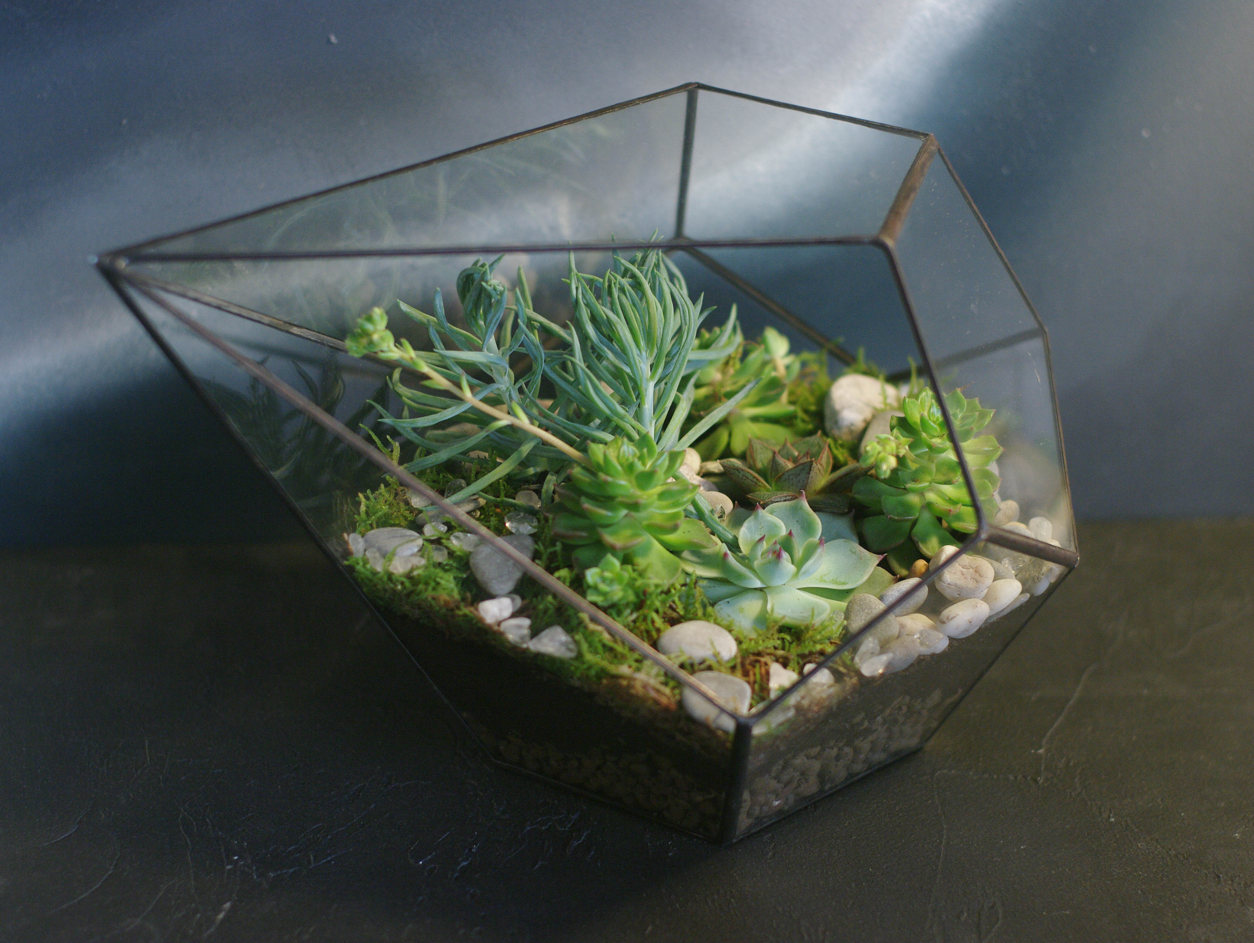 Флорариумы Флорариум Капля