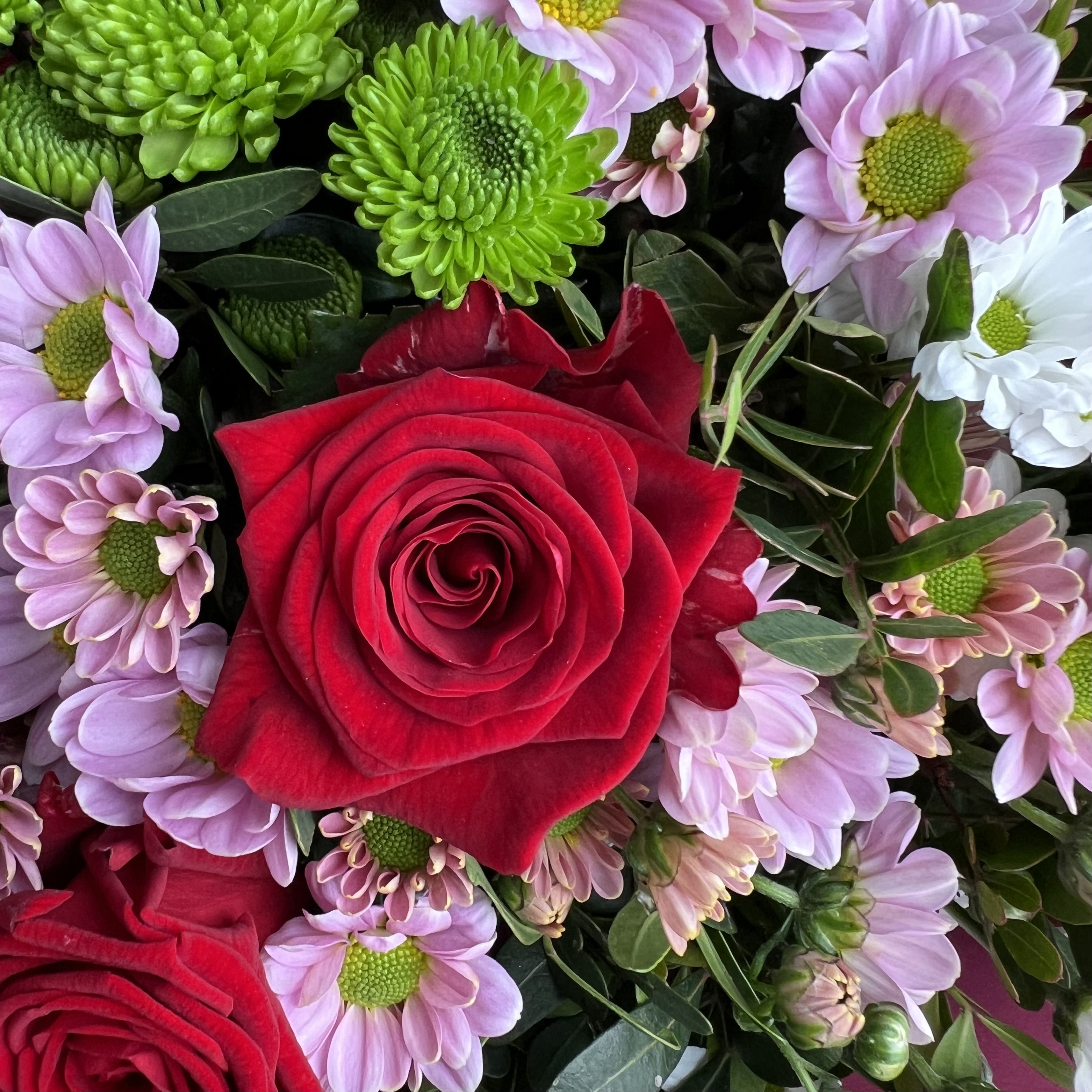 Хризантемы Букет Краски художника