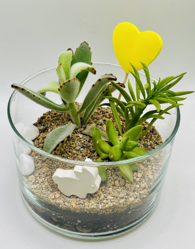 Для crm Флорариум "Весна на Камчатке"