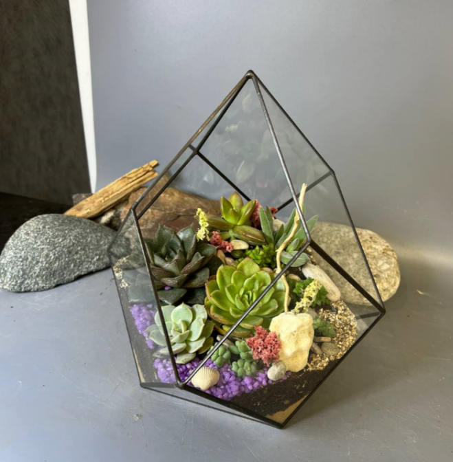 Для crm Флорариум с суккулентами "Забава"