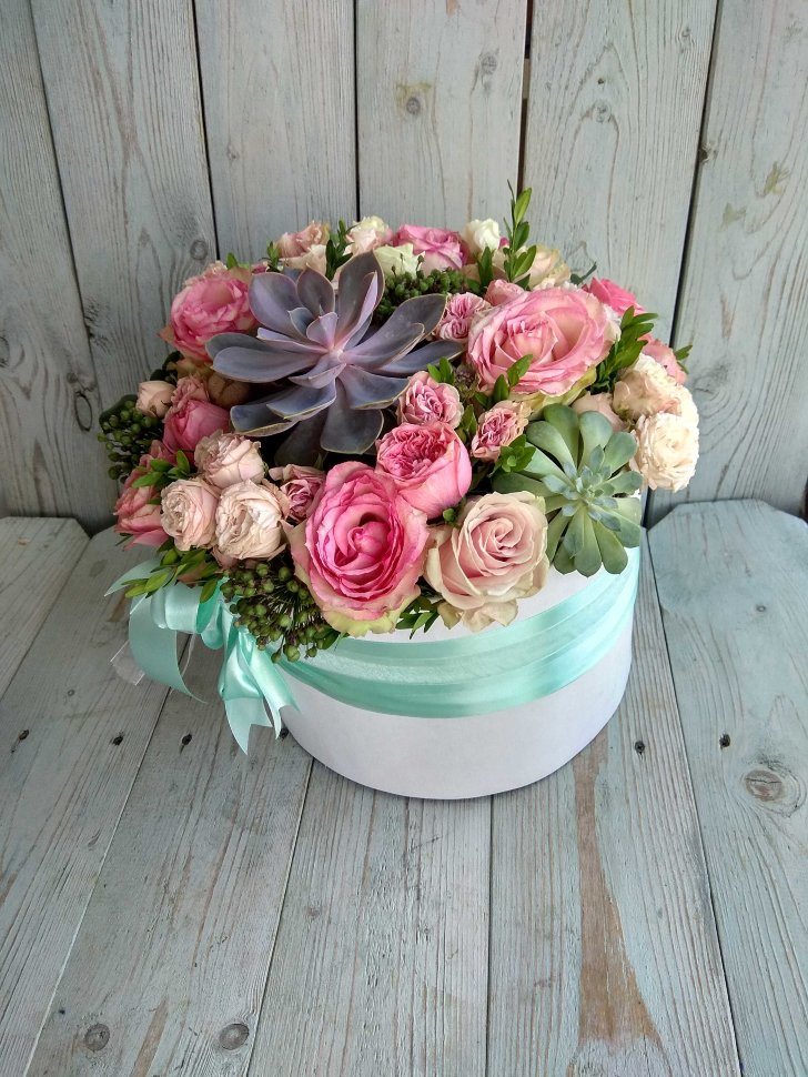 Суккуленты Цветы в коробке Алладин