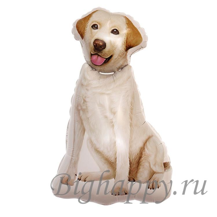 Для crm Фольгированный шар "Собака породы Лабрадор"