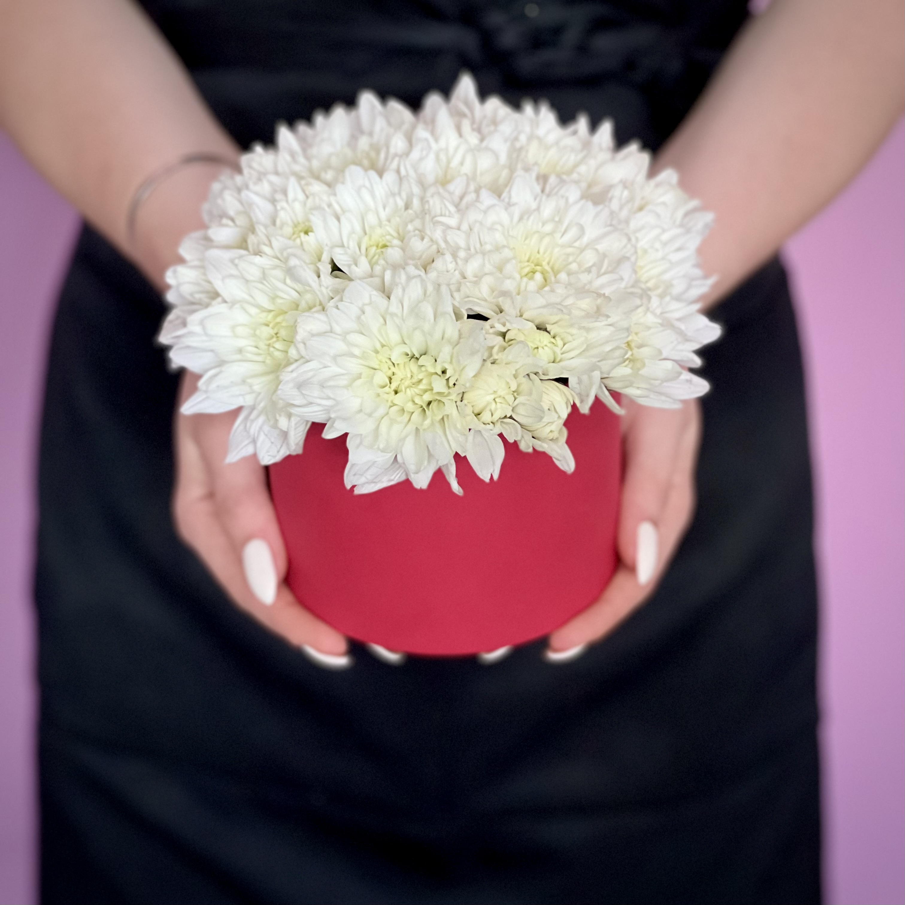 Хризантемы Белая кустовая хризантема в шляпной коробке XS