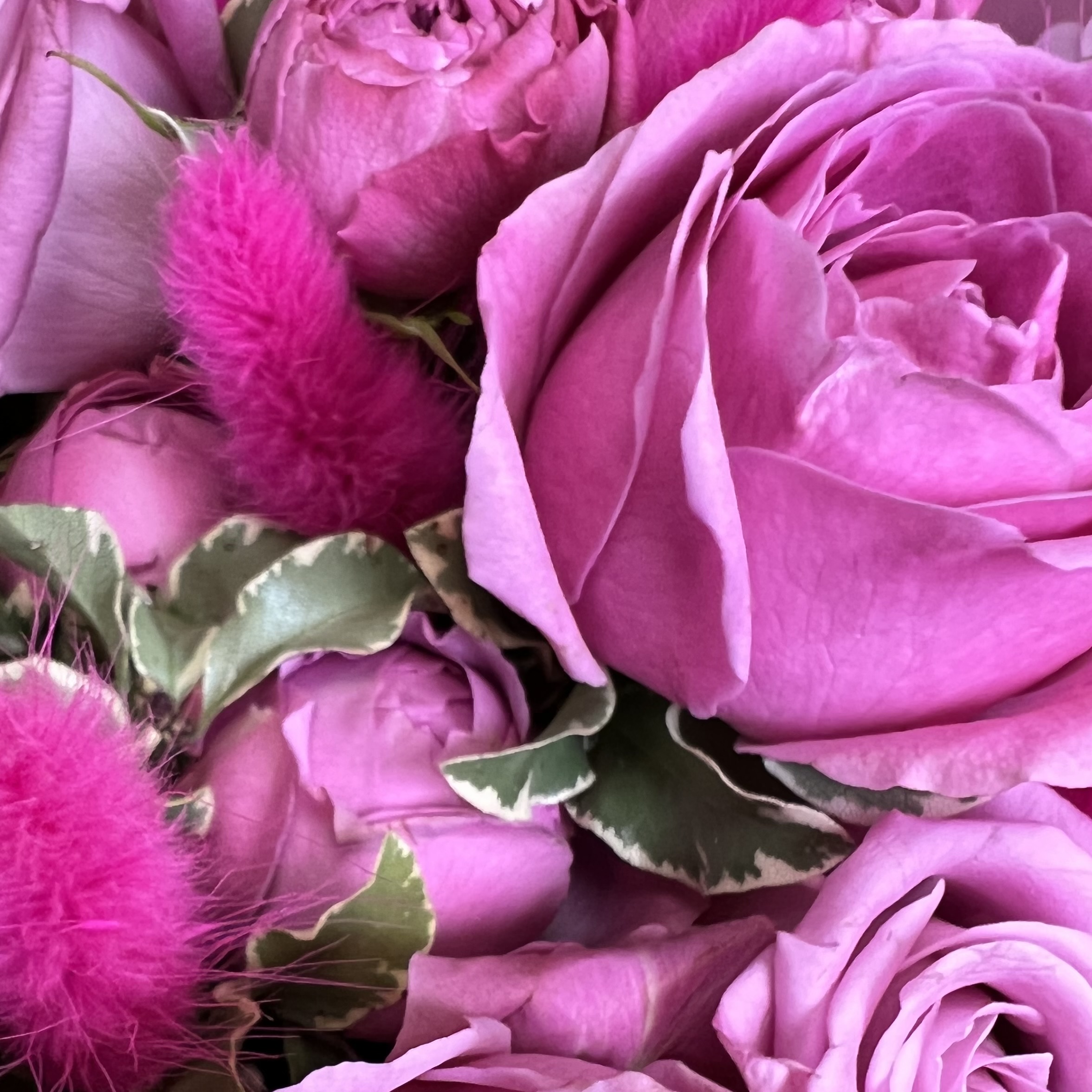 Букеты из роз Букет Первый поцелуй