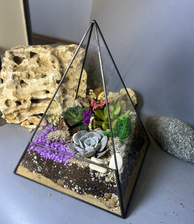 Для crm Флорариум с суккулентами "Пирамида Клеопатра"