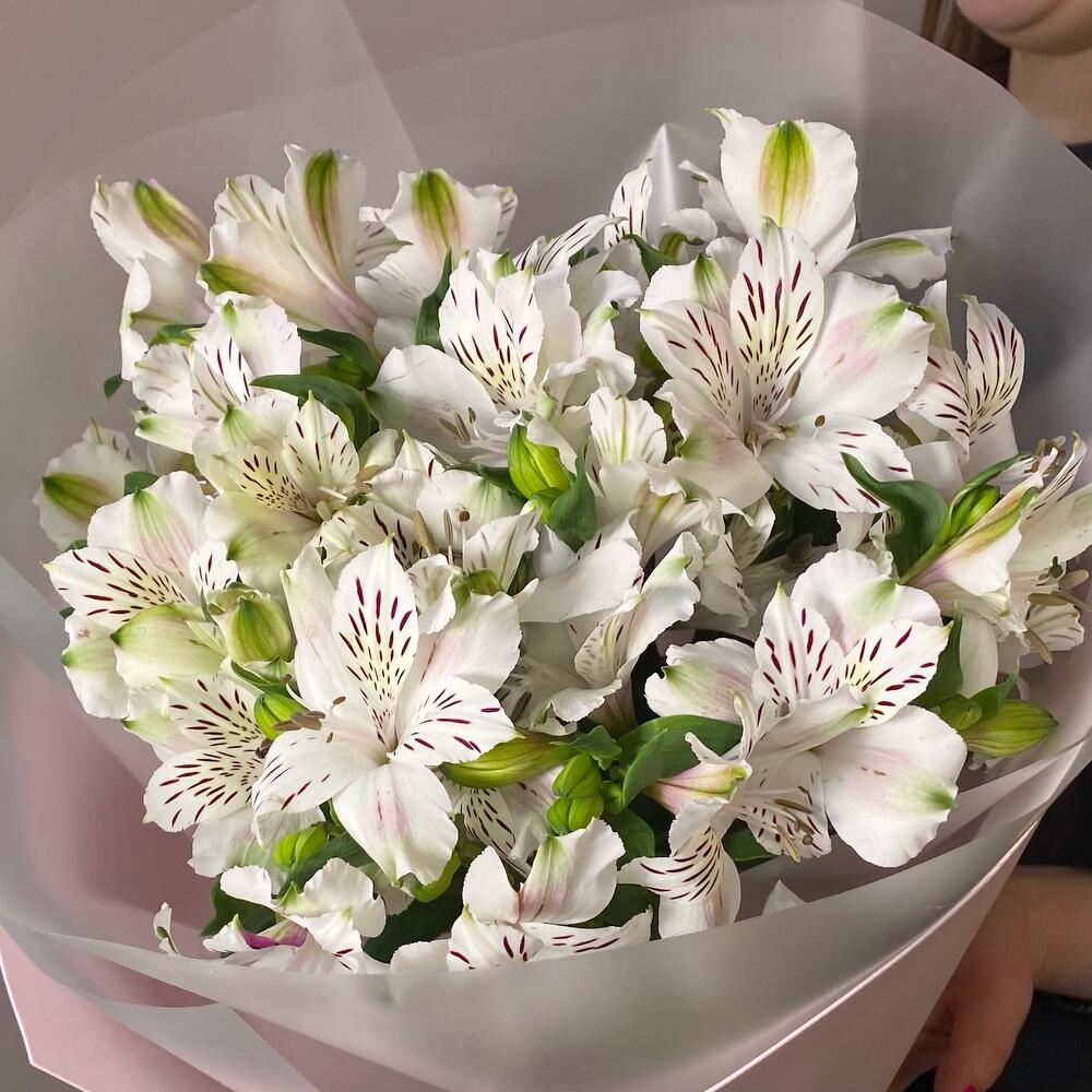 Альстромерии Букет Белый шелест