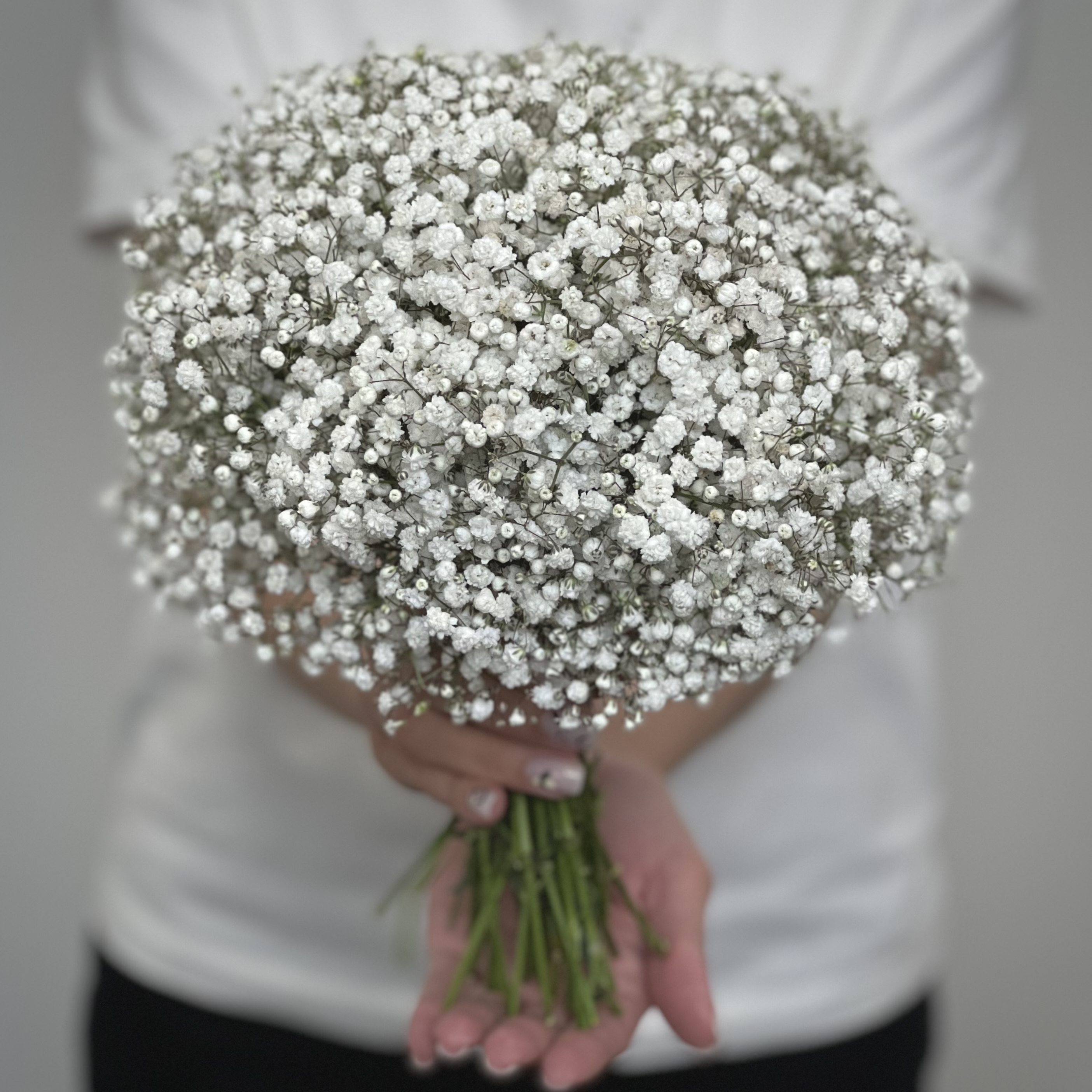 Гипсофила Букет невесты №5