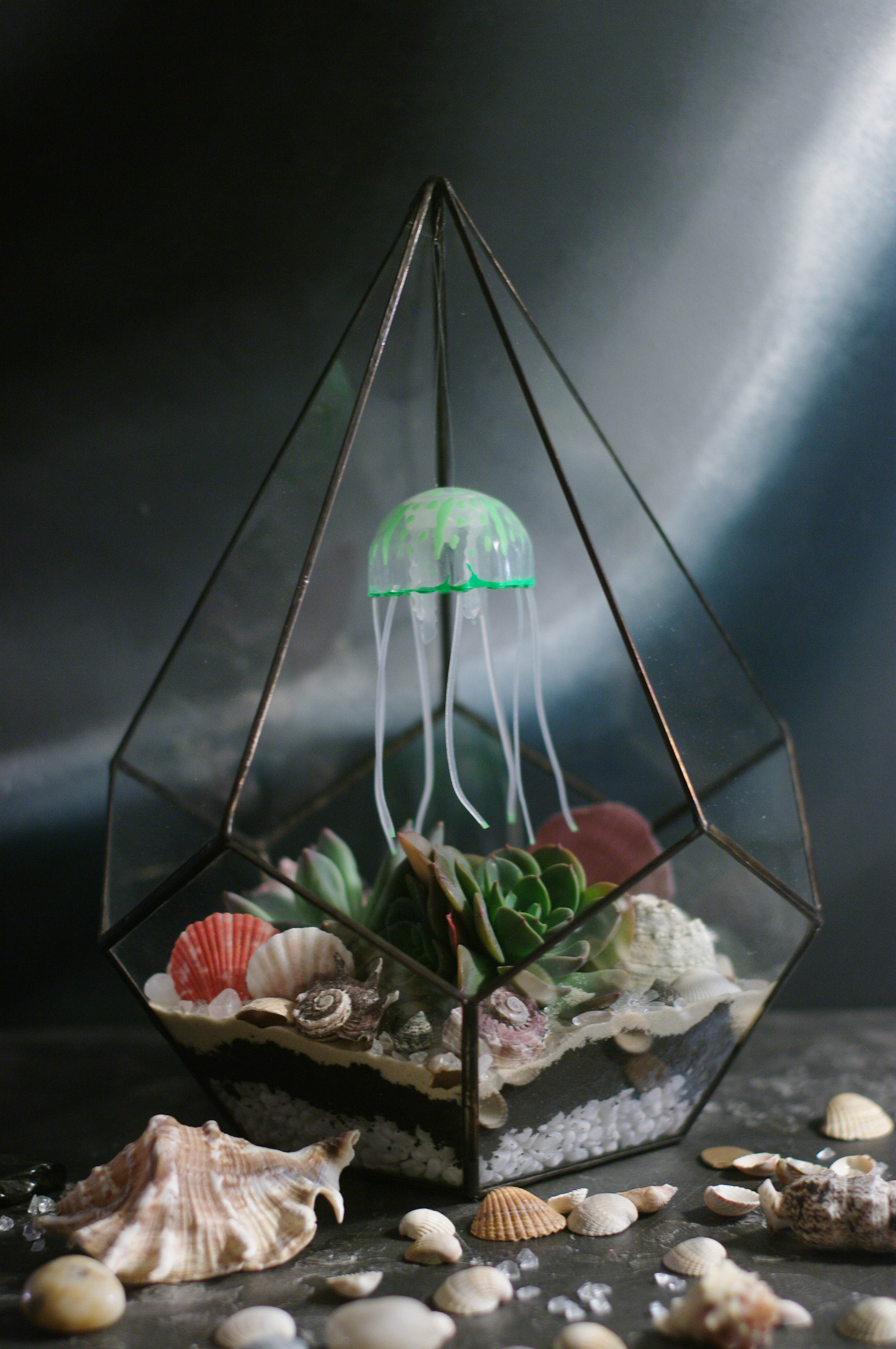 Флорариумы Флорариум Капля