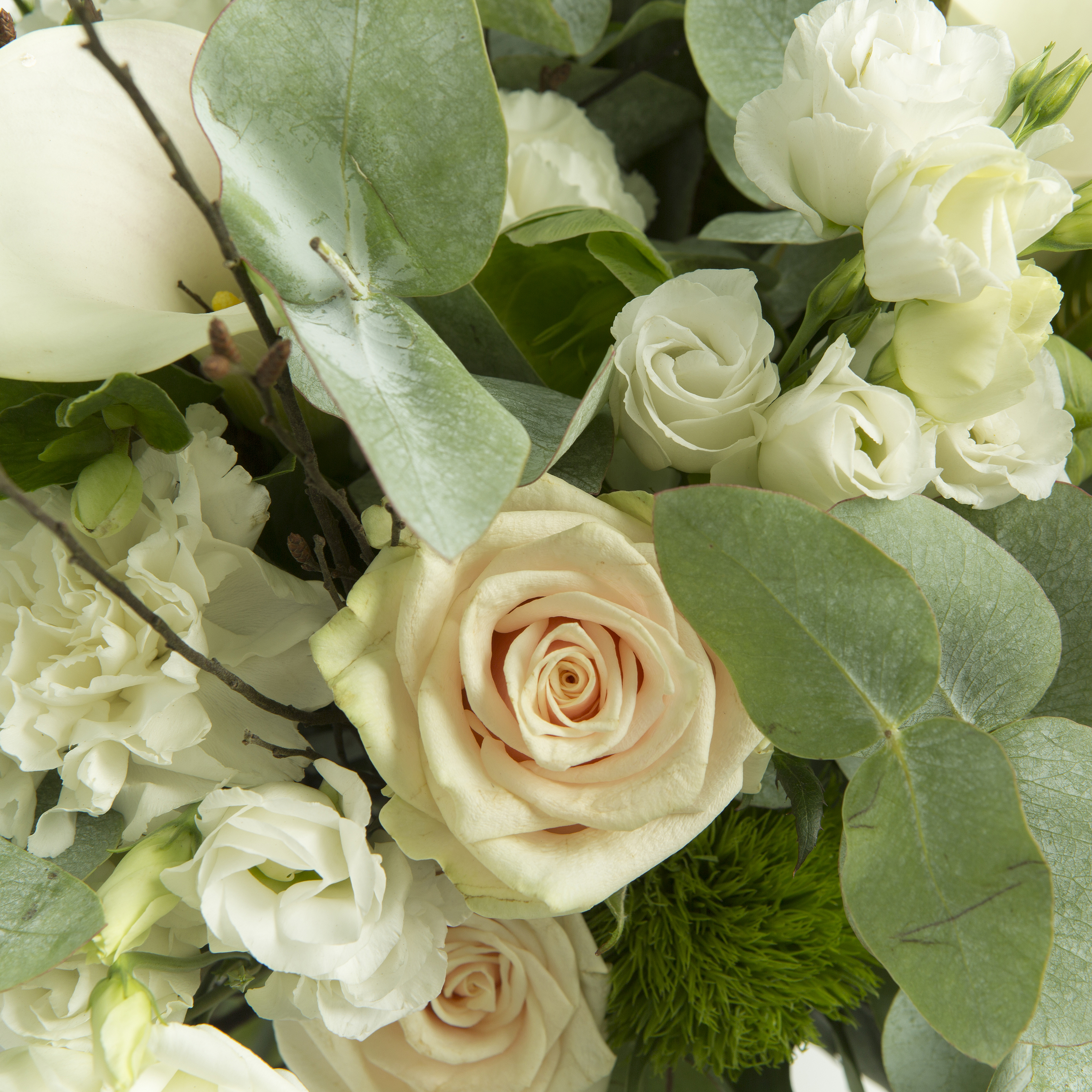 Букеты из роз Букет Круиз