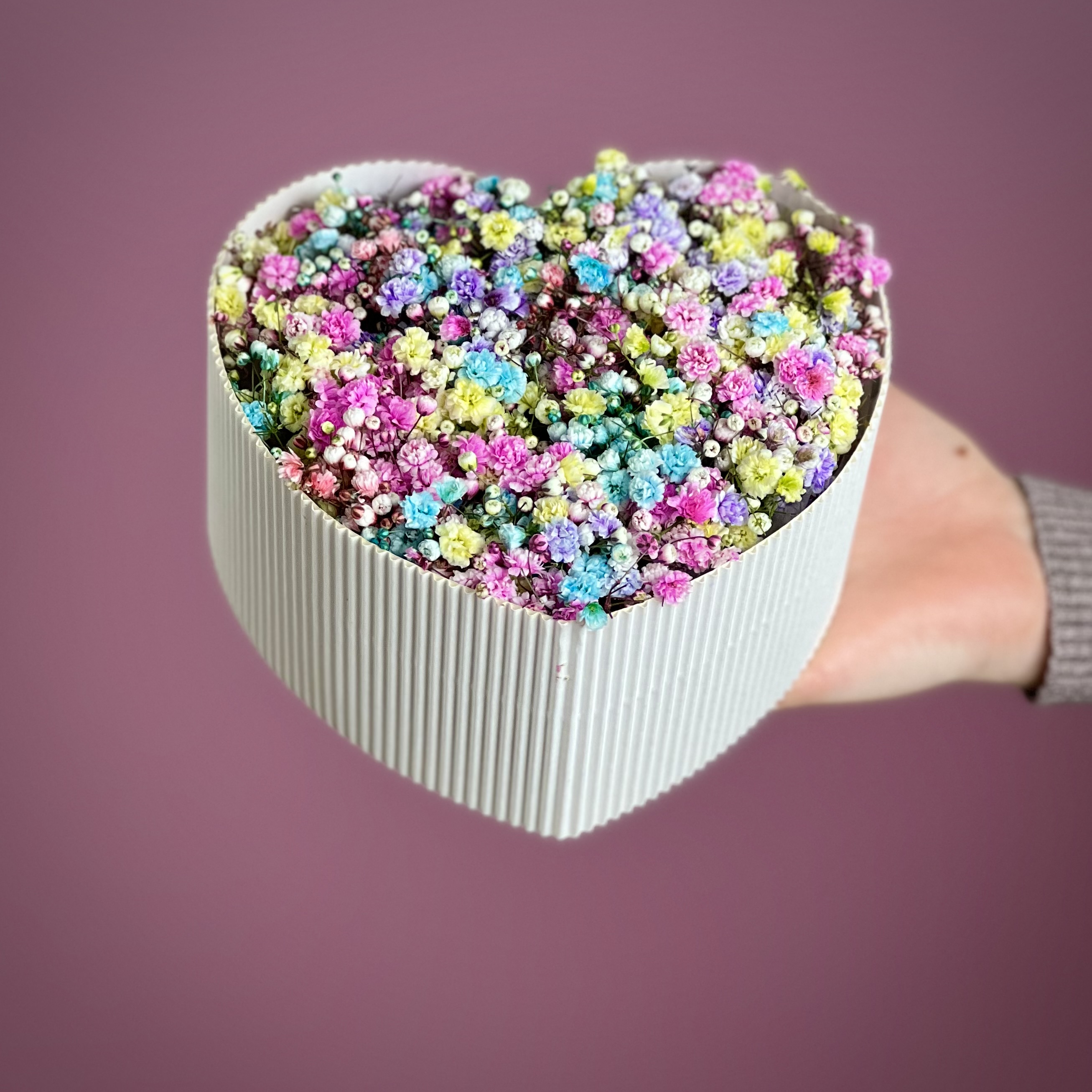 Гипсофила Цветная гипсофила в белом сердце S