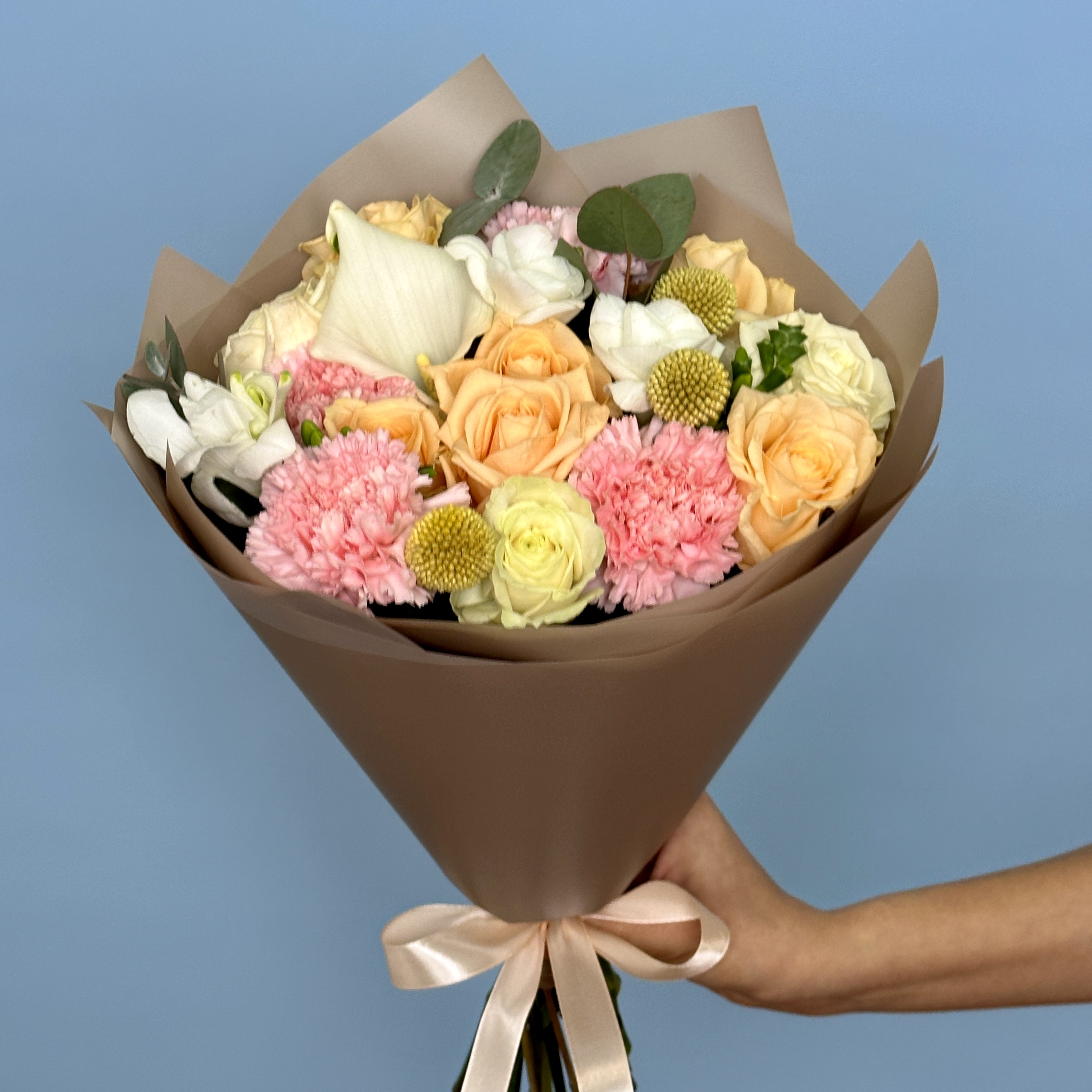 Гвоздики Букет Солнечное утро