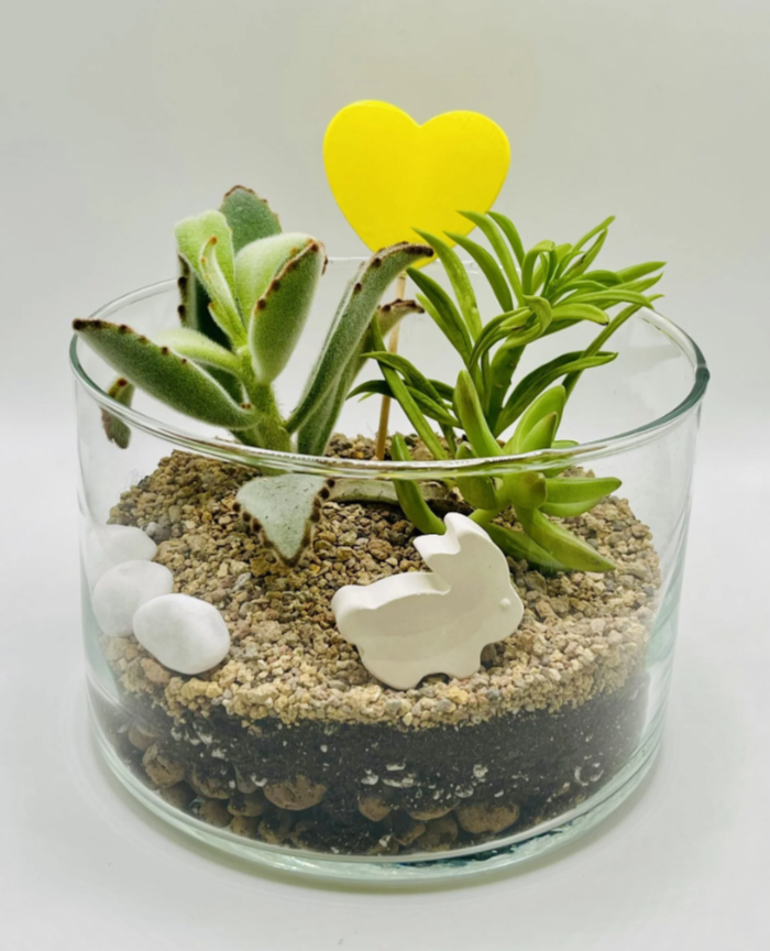 Для crm Флорариум "Весна на Камчатке"