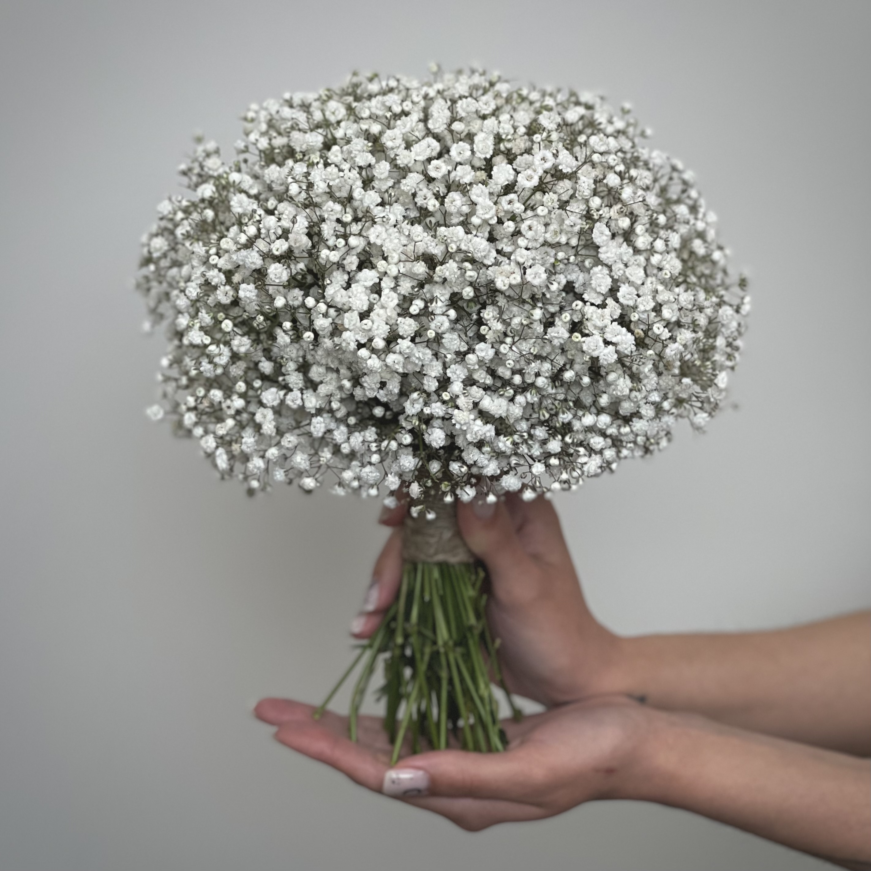 Гипсофила Букет невесты №5