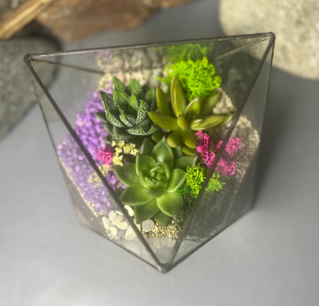 Для crm Флорариум с суккулентами "Валентин подарок"