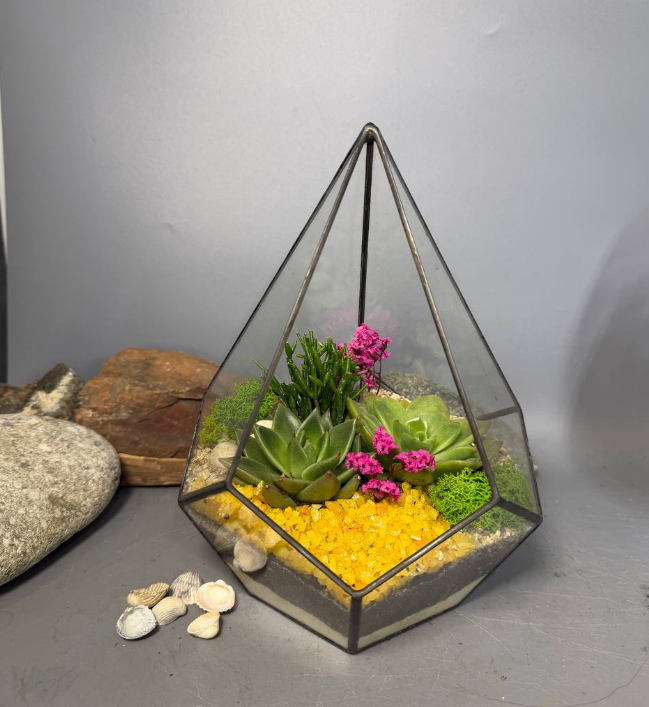 Для crm Флорариум "Сафари с суккулентами"