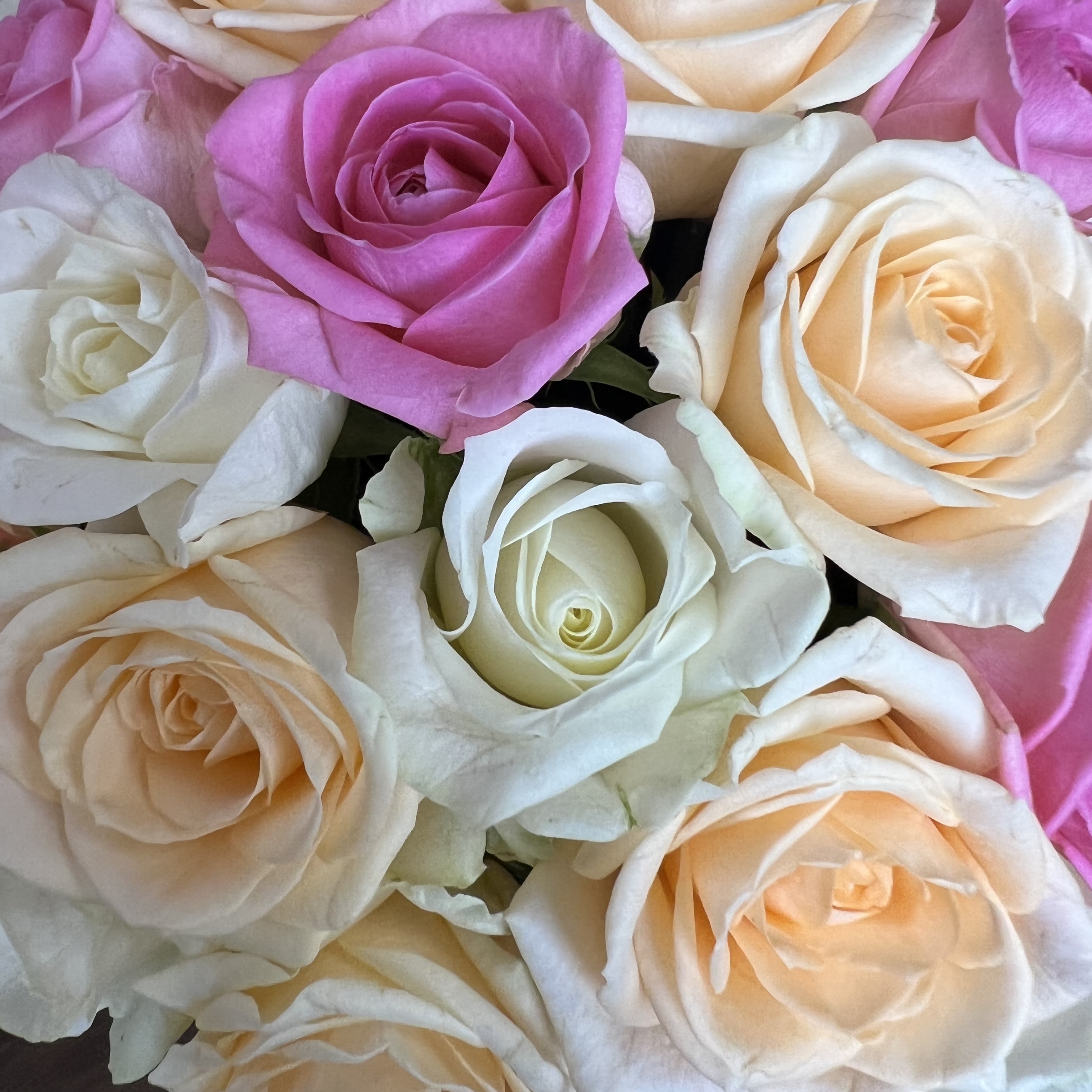 Цветы в коробке Нежный микс из роз в шляпной коробке М