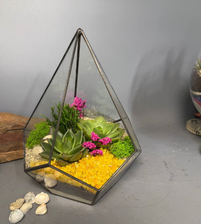 Для crm Флорариум "Сафари с суккулентами"