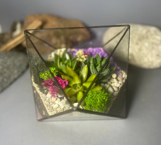 Для crm Флорариум с суккулентами "Валентин подарок"